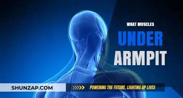 Armpit Muscles: What's Underneath and Why It's Important