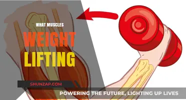 Weight Lifting: Targeting Muscle Groups for Growth