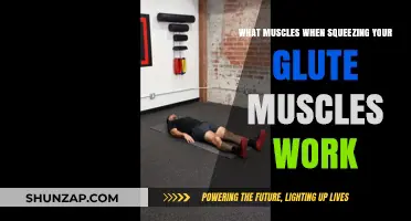 Squeezing Glutes: Muscles Activated and Benefits Explained