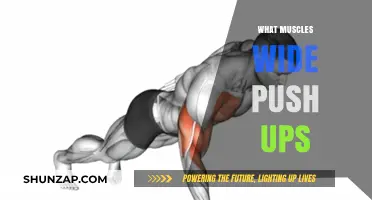 Push-Up Power: Targeting and Toning Your Muscles