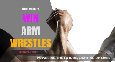 Mastering Arm Wrestling: Key Muscles for Dominating the Table