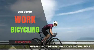 Pedal Power: Muscles Engaged and Strengthened Through Bicycling