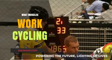 Cycling's Muscle Power: Unlocking the Key Muscles in Motion