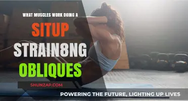 Sit-Ups and Oblique Strain: Which Muscles Are Really at Work?