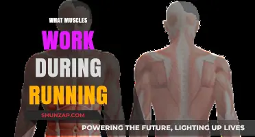 Running's Muscle Power: Unveiling the Key Muscles in Motion