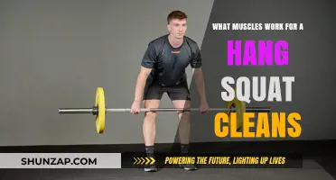Muscles Engaged in Hang Squat Cleans: A Comprehensive Breakdown