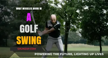 Mastering the Golf Swing: Key Muscles Involved and How to Strengthen Them