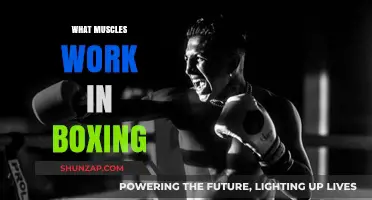Boxing's Powerhouse Muscles: Unveiling the Key Players in Every Punch