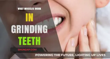 Unraveling the Muscular Mechanics Behind Teeth Grinding: A Comprehensive Guide