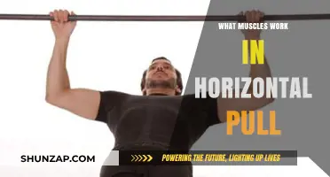 Mastering Horizontal Pulls: Key Muscles Engaged and Strengthened