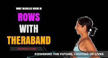 Theraband Row Muscles: Targeted Back, Shoulder, and Arm Engagement Explained