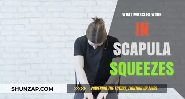 Scapula Squeezes: Targeted Muscles for Shoulder Stability and Strength
