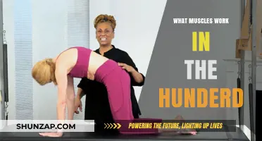 Unleashing Strength: Muscles Engaged in the Hundred Pilates Exercise