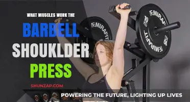 Barbell Shoulder Press: Key Muscles Engaged in This Powerful Exercise