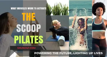 Pilates Scoop Activation: Key Muscles Engaged for Core Strength