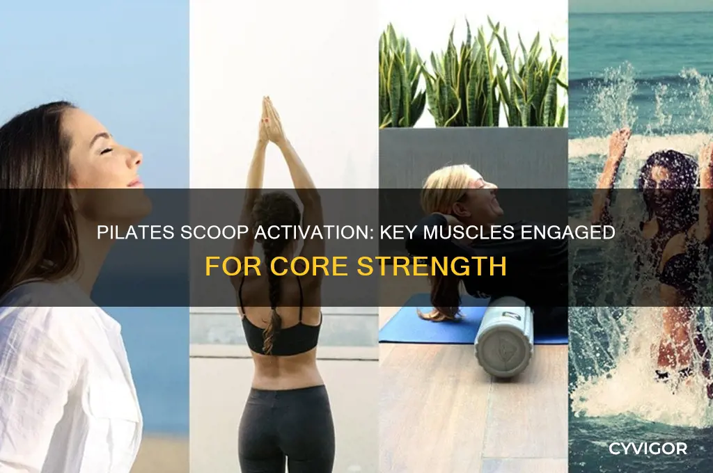 what muscles work to activate the scoop pilates