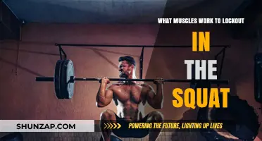 Unlocking Squat Strength: Muscles Driving the Lockout Phase Explained