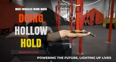 Hollow Hold Muscles: Core, Abs, and Lower Back Activation Explained
