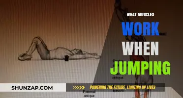 Jumping Mechanics: Key Muscles Activated for Explosive Leaps Explained