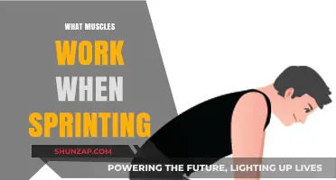 Sprinting Muscles: Unlocking the Power Behind Explosive Speed