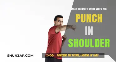 Punching Power: Shoulder Muscles Engaged in a Perfect Strike