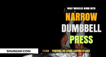 Narrow Dumbbell Press: Targeted Muscles and Effective Workout Techniques