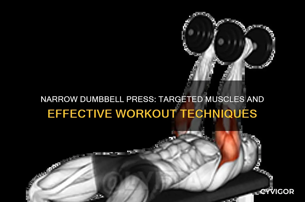what muscles work with narrow dumbbell press