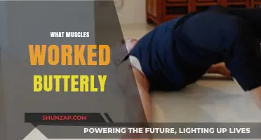 Butterfly Exercise: Target Muscles and Benefits for Core and Lower Body