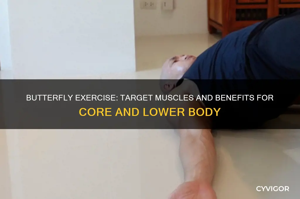 what muscles worked butterly