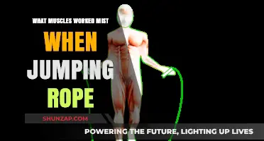 Jump Rope Workout: Key Muscles Engaged and Strengthened