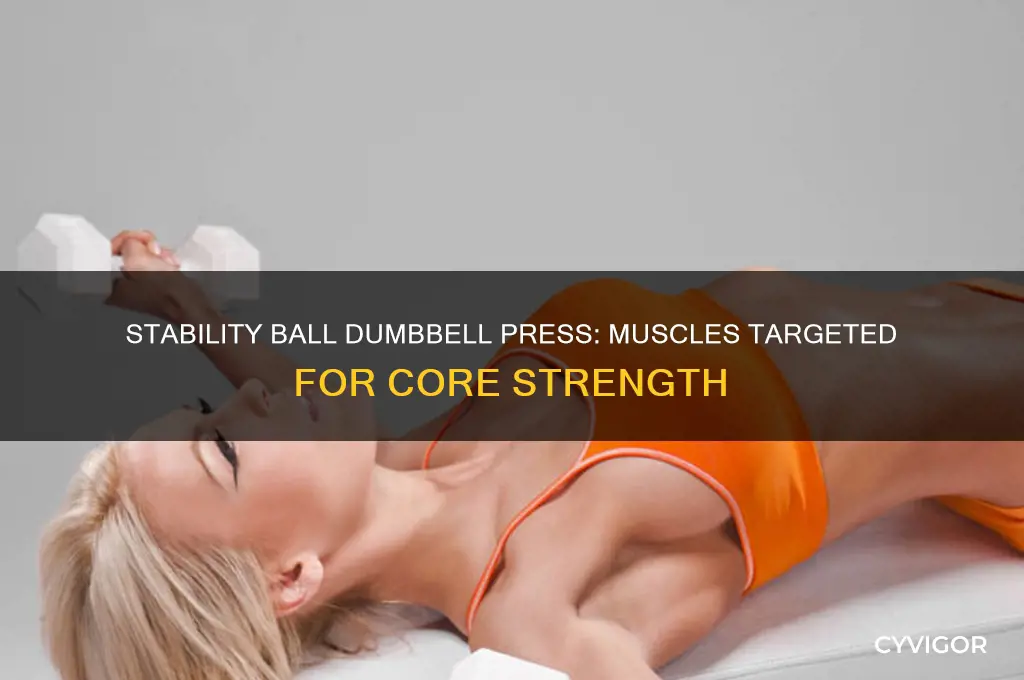 what muscles worked stability ball dumbbell press