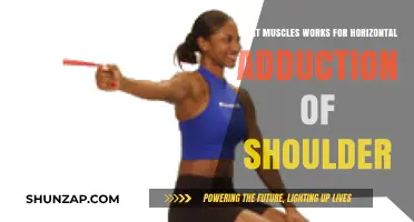 Muscles Driving Horizontal Shoulder Adduction: A Comprehensive Breakdown