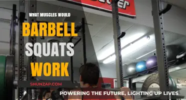 Barbell Squats: Targeted Muscles and Full-Body Strength Benefits Explained