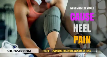 Heel Pain Causes: Muscles and Trigger Points Explained
