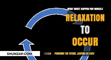 Unlocking Muscle Relaxation: Essential Steps for Tension Relief