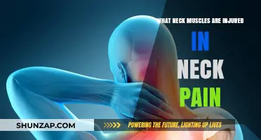 Understanding Neck Pain: Key Muscles Involved and Common Injuries