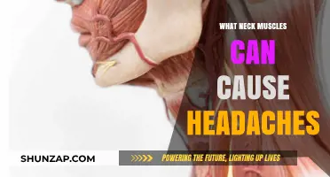 Neck Muscles and Headaches: Understanding the Surprising Connection
