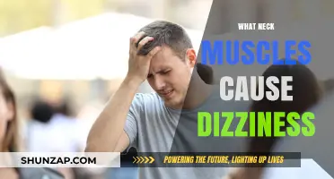 Neck Muscles and Dizziness: Understanding the Connection and Causes