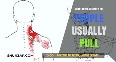 Commonly Pulled Neck Muscles: Causes, Symptoms, and Prevention Tips
