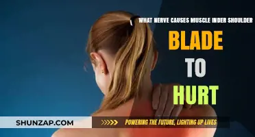 Understanding the Nerve Behind Shoulder Blade Muscle Pain: Causes and Relief