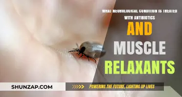 Antibiotics and Muscle Relaxants: Treating Lyme Neuroborreliosis Effectively