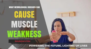 Neurological Diseases Linked to Muscle Weakness: Causes and Symptoms
