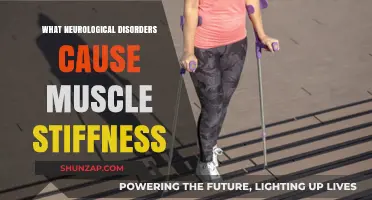 Neurological Disorders Linked to Muscle Stiffness: Causes and Insights