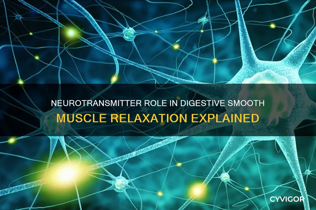 what neurotransmitter affects digestive smooth muscle relaxation