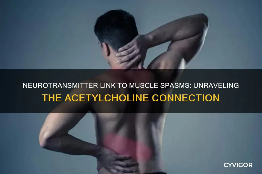what neurotransmitter causes muscle spasms