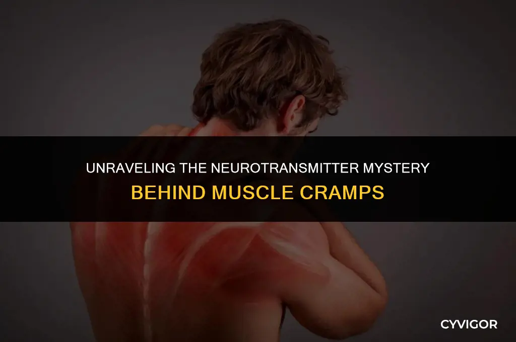what neurotransmitters are involved during muscle cramps
