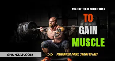 Avoid These Muscle-Building Mistakes for Effective and Safe Gains