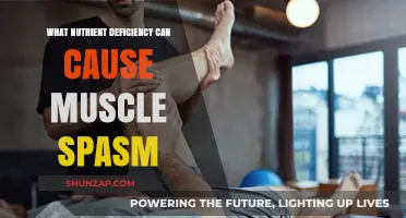 Muscle Spasms and Nutrient Deficiencies: Uncovering the Hidden Connection
