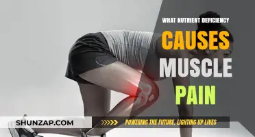 Muscle Pain and Nutrient Deficiency: Uncovering the Hidden Connection