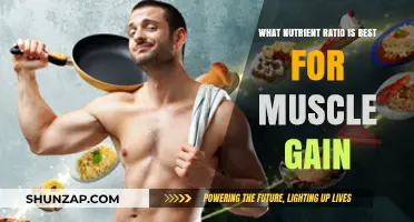 Optimal Nutrient Ratio for Muscle Gain: Protein, Carbs, and Fats